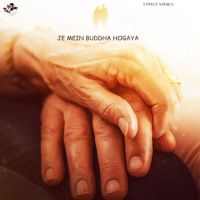 Je Mein Buddha Hogaya Lovely Noor Mp3 Song Download