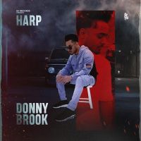 Donnybrook Harp Mp3 Song Download