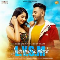 LYSM Jung Sandhu Mp3 Song Download