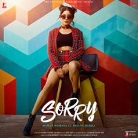 Sorry Raman Romana Mp3 Song Download