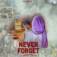 Never Forget Virasat Sandhu Mp3 Song Download