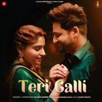 Teri Galli Sajjan Adeeb Mp3 Song Download