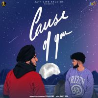 Cause Of You Zehr Vibe Mp3 Song Download