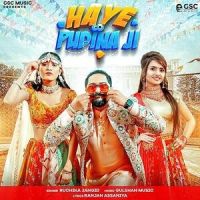 Haye Pudina Ji Ruchika Jangid Mp3 Song Download