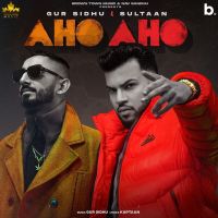 Aho Aho Gur Sidhu, Sultaan Mp3 Song Download