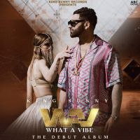 WAV (What A Vibe) By King Sunny full album mp3 songs