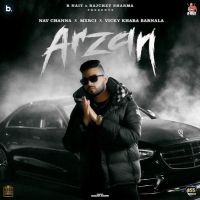 Arzan Nav Channa Mp3 Song Download