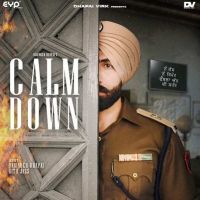 Calm Down Barinder Dhapai, Ritu Jass Mp3 Song Download