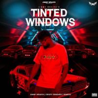 Tinted Windows Jimmy Wraich Mp3 Song Download