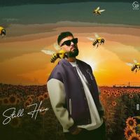 Hustla Garry Sandhu, Sultaan Mp3 Song Download