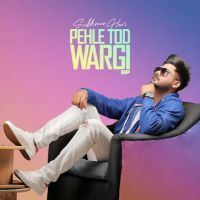 Pehle Tod Wargi By Sukhman Heer full album mp3 songs