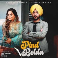 Pind Bolda Navi Warring Mp3 Song Download