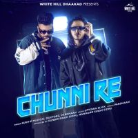 Chunni Re Sukh E Muzical Doctorz, Pardhaan Mp3 Song Download