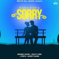 Sorry Pavvy Virk Mp3 Song Download