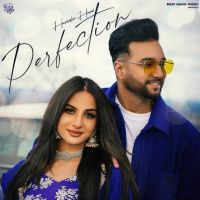 Perfection Harinder Harvi Mp3 Song Download