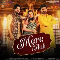 Mere Aali Vishvajeet Choudhary Mp3 Song Download