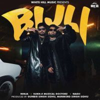 Bijli Ninja Mp3 Song Download