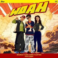 Woah Ashu Sidhu Mp3 Song Download