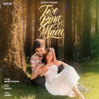 Tere Bina Main Inder Chahal Mp3 Song Download