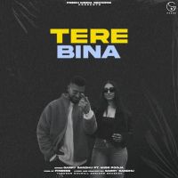 Tere Bina Garry Sandhu Mp3 Song Download