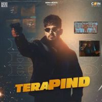 Tera Pind Hheero Mp3 Song Download