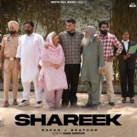 Shareek Zafar Mp3 Song Download