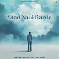 Yaad Nahi Karde Miel Mp3 Song Download