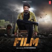 Film Gulzaar Chhaniwala Mp3 Song Download