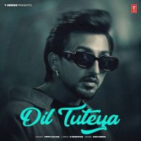 Dil Tuteya Tippu Sultan Mp3 Song Download