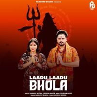 Laadu Laadu Vs Bhola Sandeep Surila Mp3 Song Download