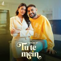 Tu Te Mein Vicky Mp3 Song Download