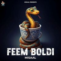 Feem Boldi Misaal Mp3 Song Download