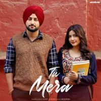 Tu Mera Vicky Sandhu Mp3 Song Download