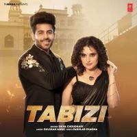 Tabizi Shiva Choudhary Mp3 Song Download