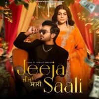 Jeeja Saali Jigar Mp3 Song Download