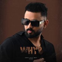 Why Kaptaan Mp3 Song Download