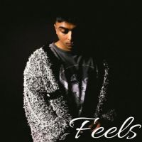 Feels Gurinder Gill Mp3 Song Download