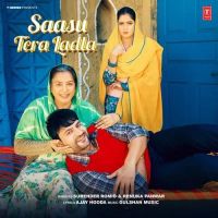 Saasu Tera Ladla Surender Romio, Renuka Panwar Mp3 Song Download