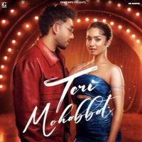 Teri Mohabbat Musahib Mp3 Song Download