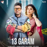 13 Garam Kuldeep Rasila Mp3 Song Download
