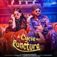 Cycle Puncture Swaroop Khan, Mahima Gupta Mp3 Song Download
