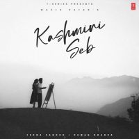 Kashmiri Seb Wazir Patar Mp3 Song Download
