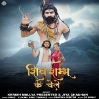 Shiv Shambhu Ke Chele Vikas Kumar, Ashu Twinkle Mp3 Song Download