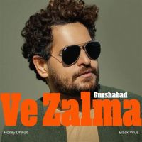Ve Zalma By Gurshabad full album mp3 songs