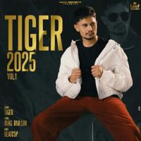 Tiger 2025 Vol. 1 By Tiger full album mp3 songs