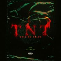TNT Jxggi Mp3 Song Download