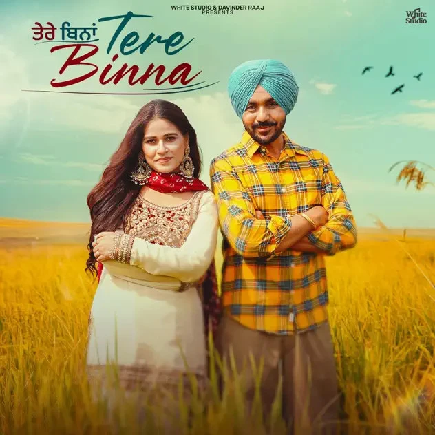 Tere Binna Gurvinder Brar, Sudesh Kumari Mp3 Song Download
